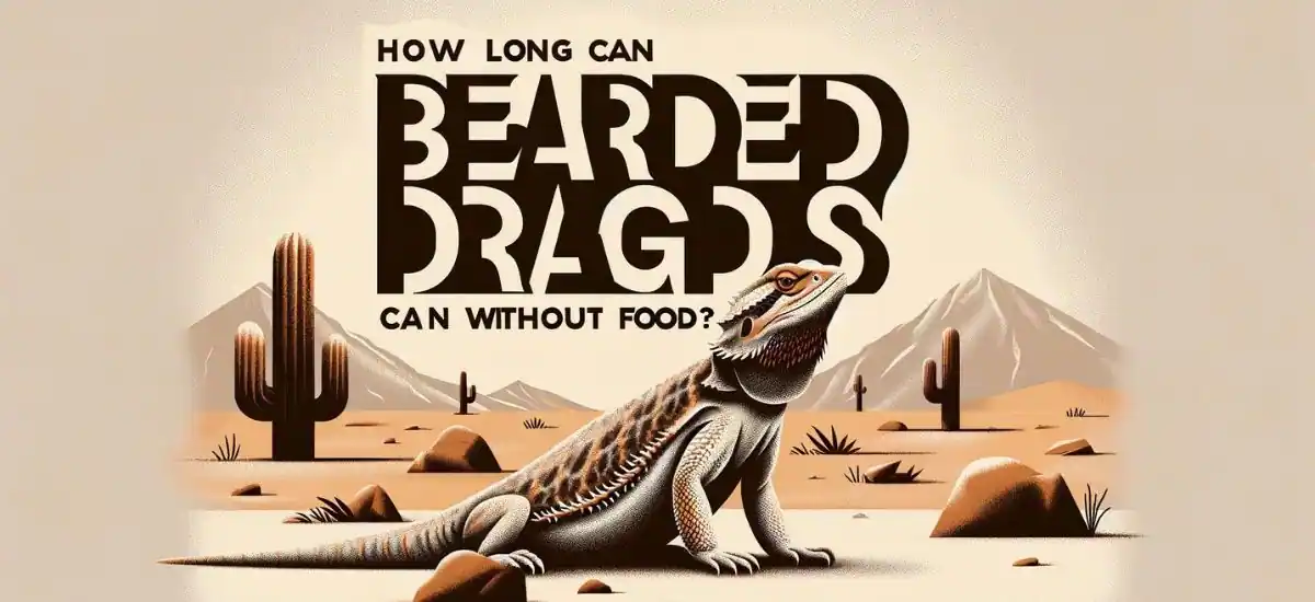 How Long Can Bearded Dragons Go Without Food