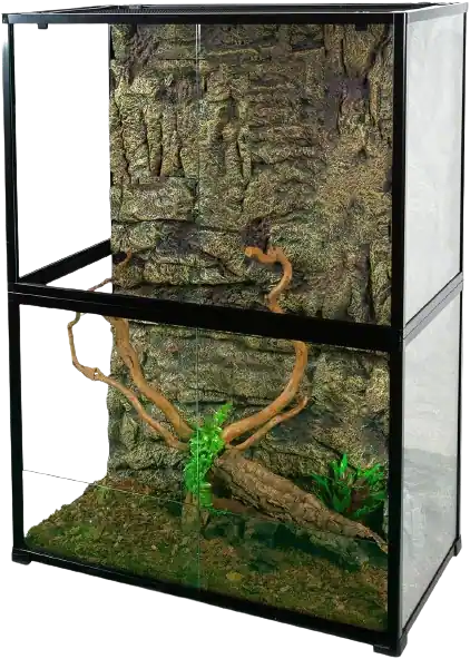 Best Enclosures For Bearded Dragons 