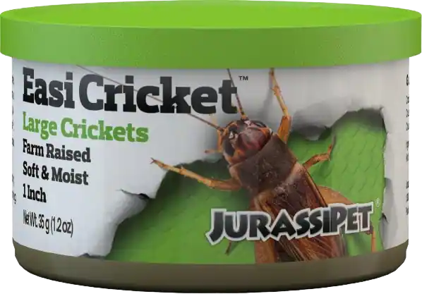 Dubia Roaches Vs. Crickets 