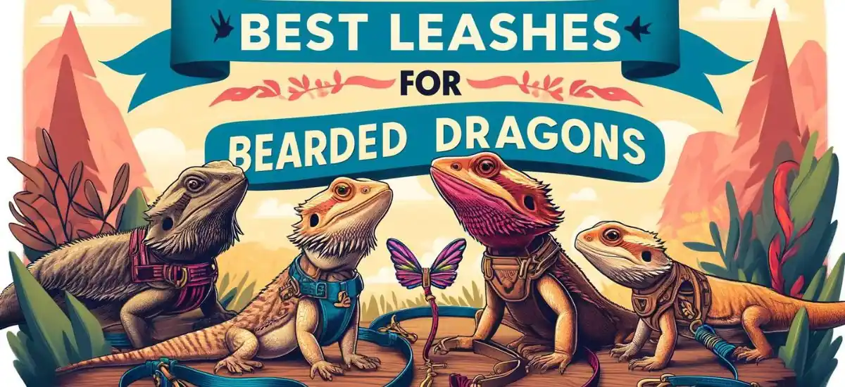 The 7 Best Leashes For Bearded Dragons – An Extensive Guide