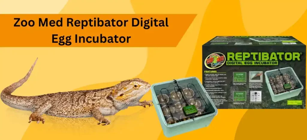 Zoo Med Reptibator Digital Egg Incubator