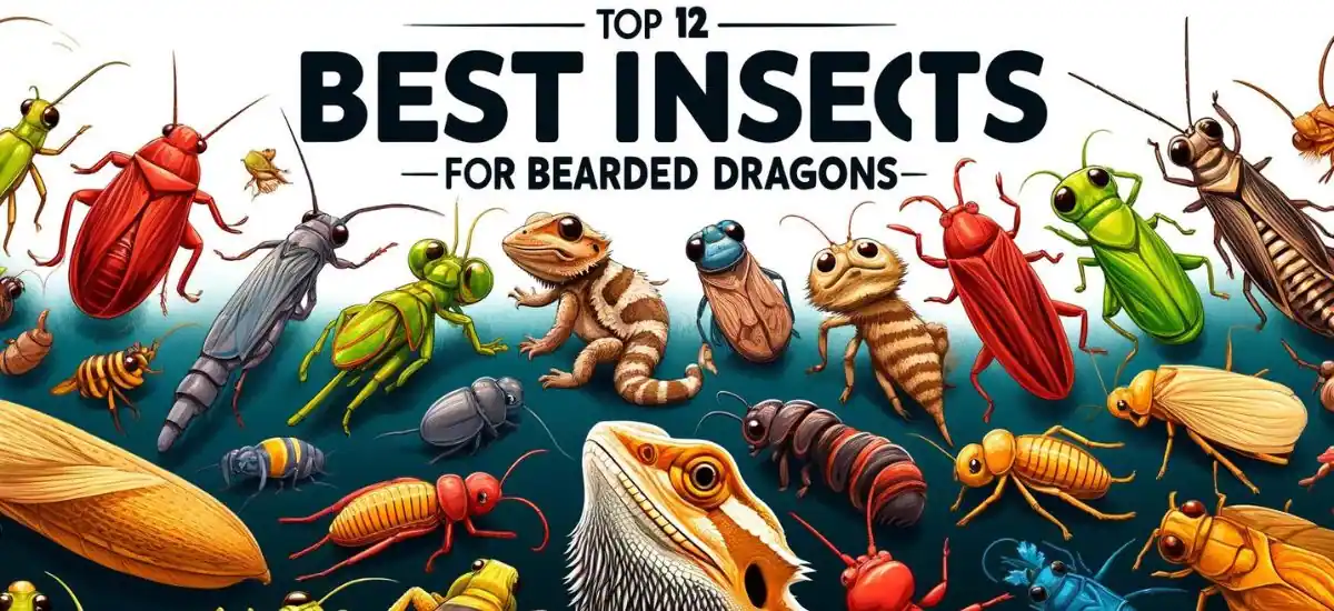 Top 12 Best Insects For Bearded Dragons