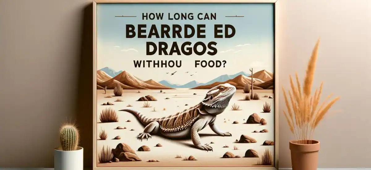How Long Can Bearded Dragons Go Without Food?