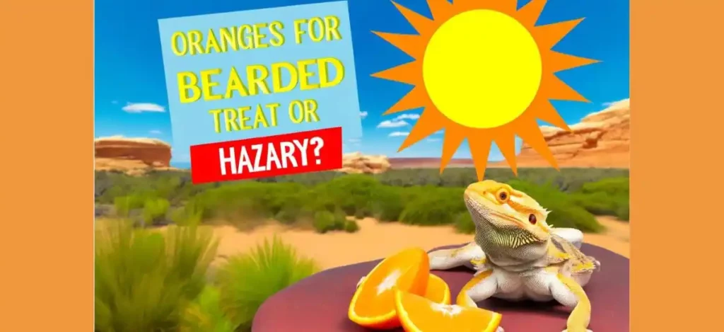 can bearded dragons eat oranges