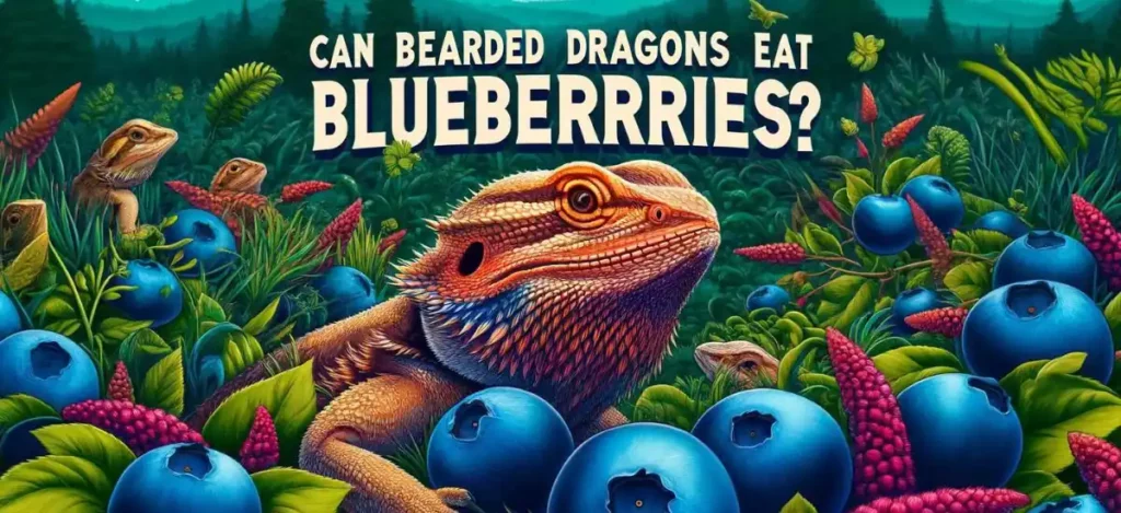 can bearded dragons eat blueberries