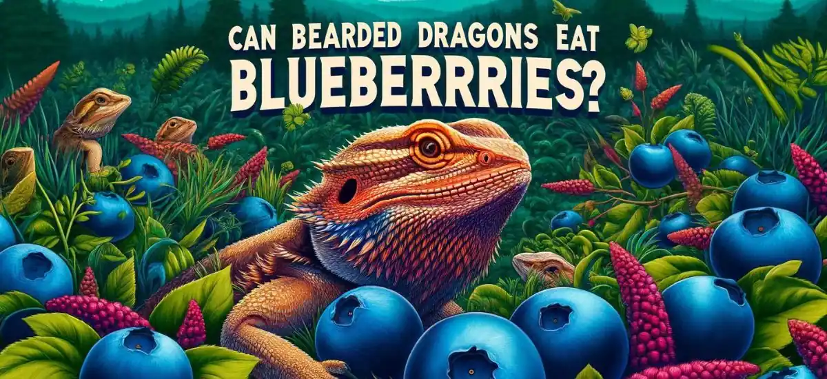 Blueberries For Bearded Dragons: A Surprising Dietary Addition?